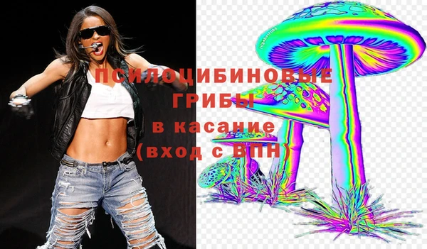 мдма Каменногорск
