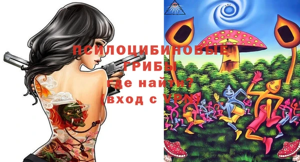 прущая мука Каменка