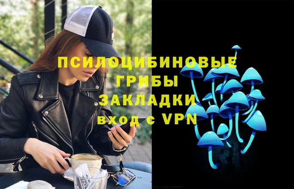 мдма Каменногорск